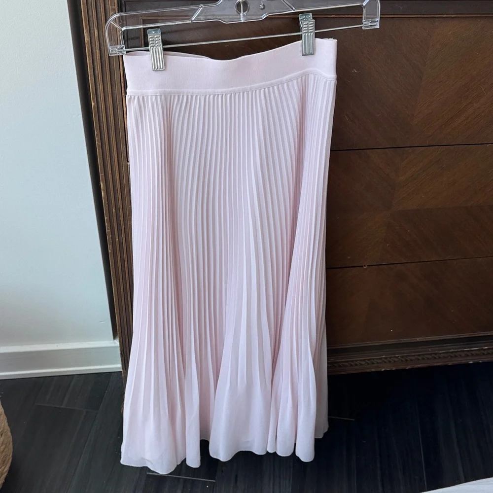Aritzia Pleated Midi Skirt - Picture 2 of 5